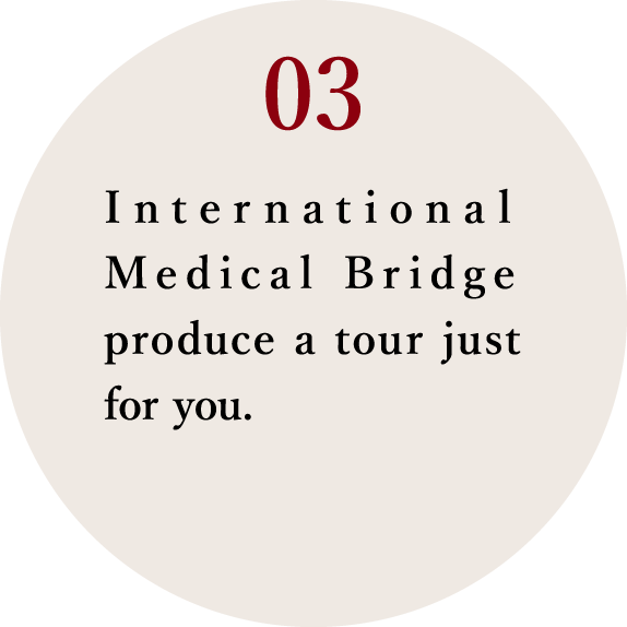 03_3) International Medical Bridge produce a tour just for you. 