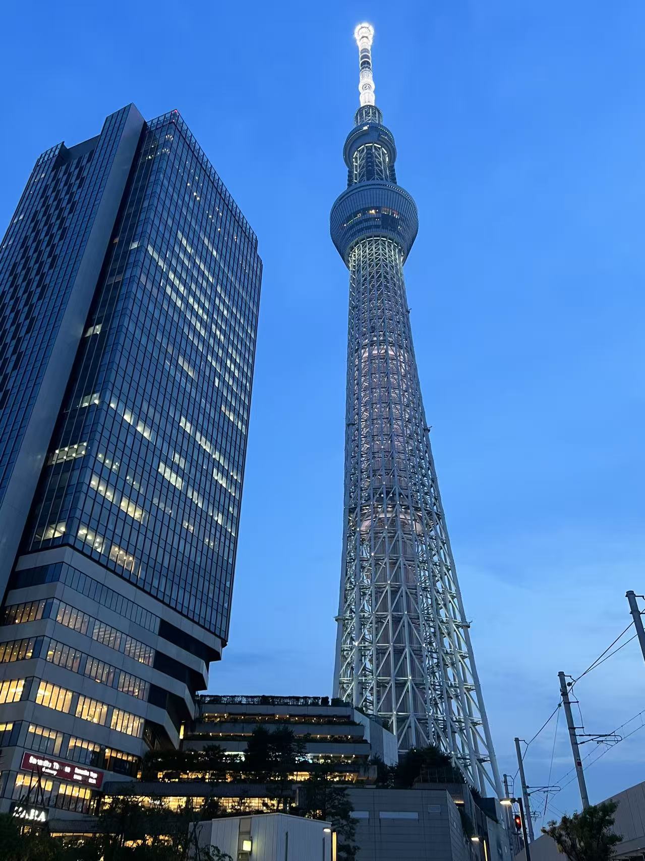 tokyo_img